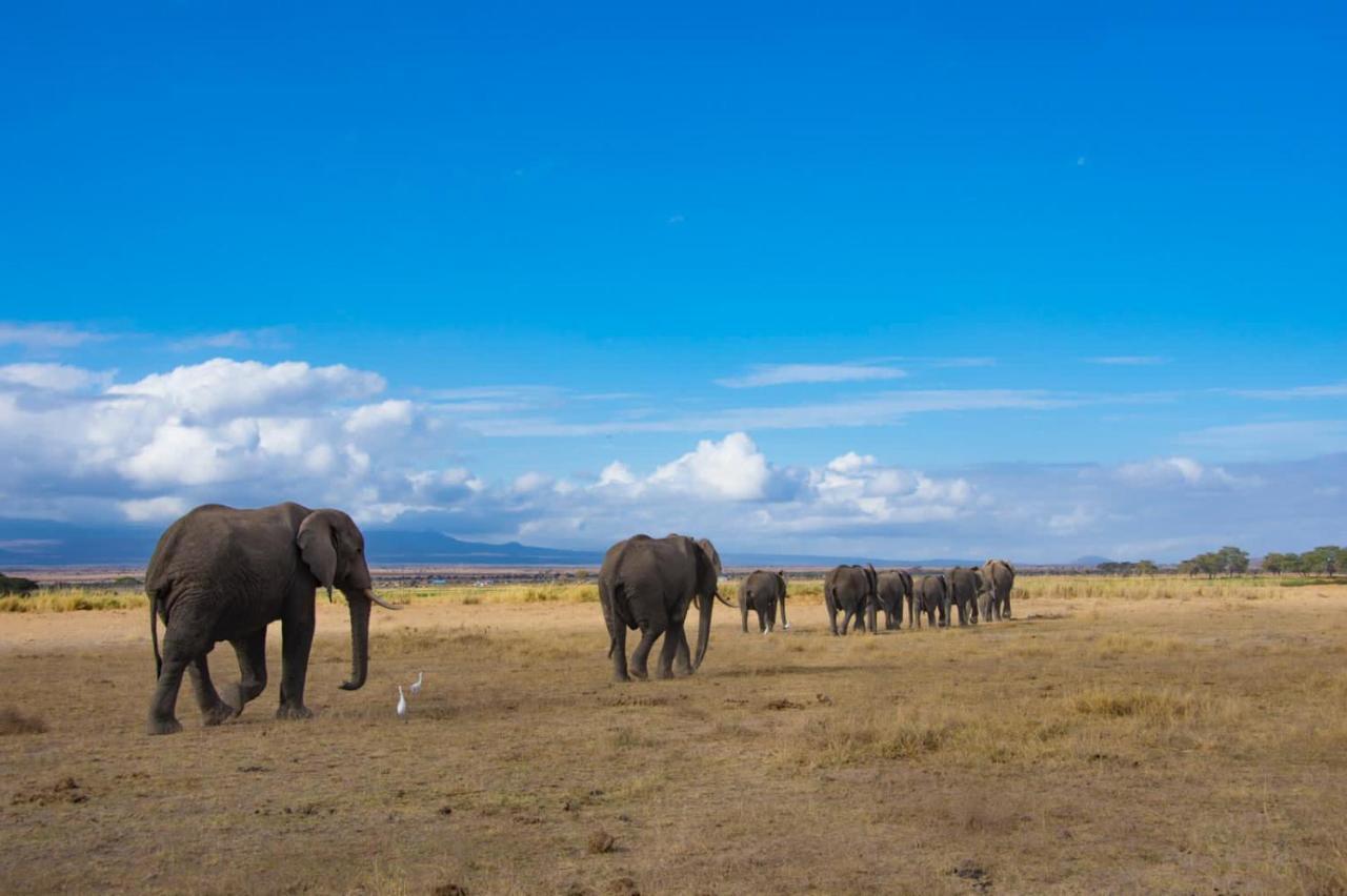 Amboseli Cultural Camping Екстер'єр фото
