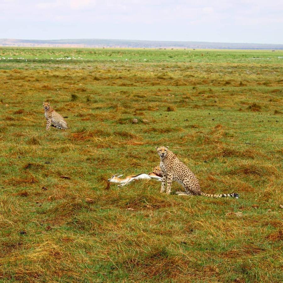 Amboseli Cultural Camping Екстер'єр фото